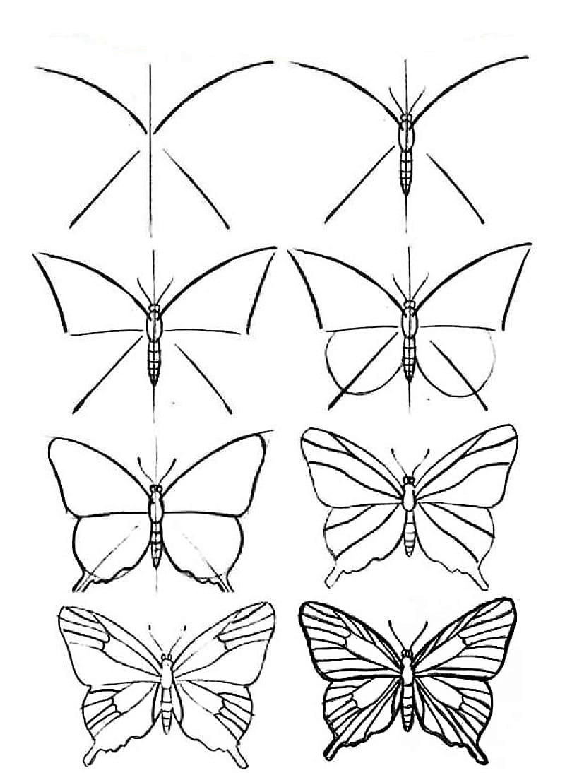 Ein alter Schmetterling zeichnen ideen
