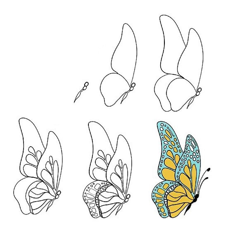 Ein wunderschöner Schmetterling zeichnen ideen