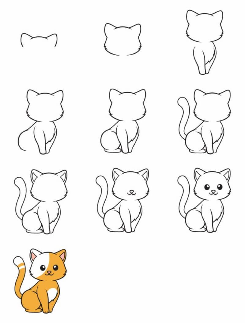 Zeichnen Lernen Eine hübsche Katze