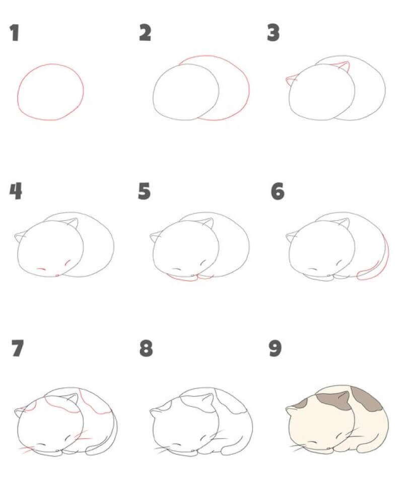 Zeichnen Lernen Eine schlafende Katze