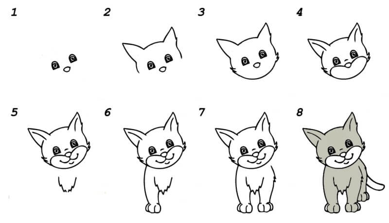 Zeichnen Lernen Eine schöne Katze