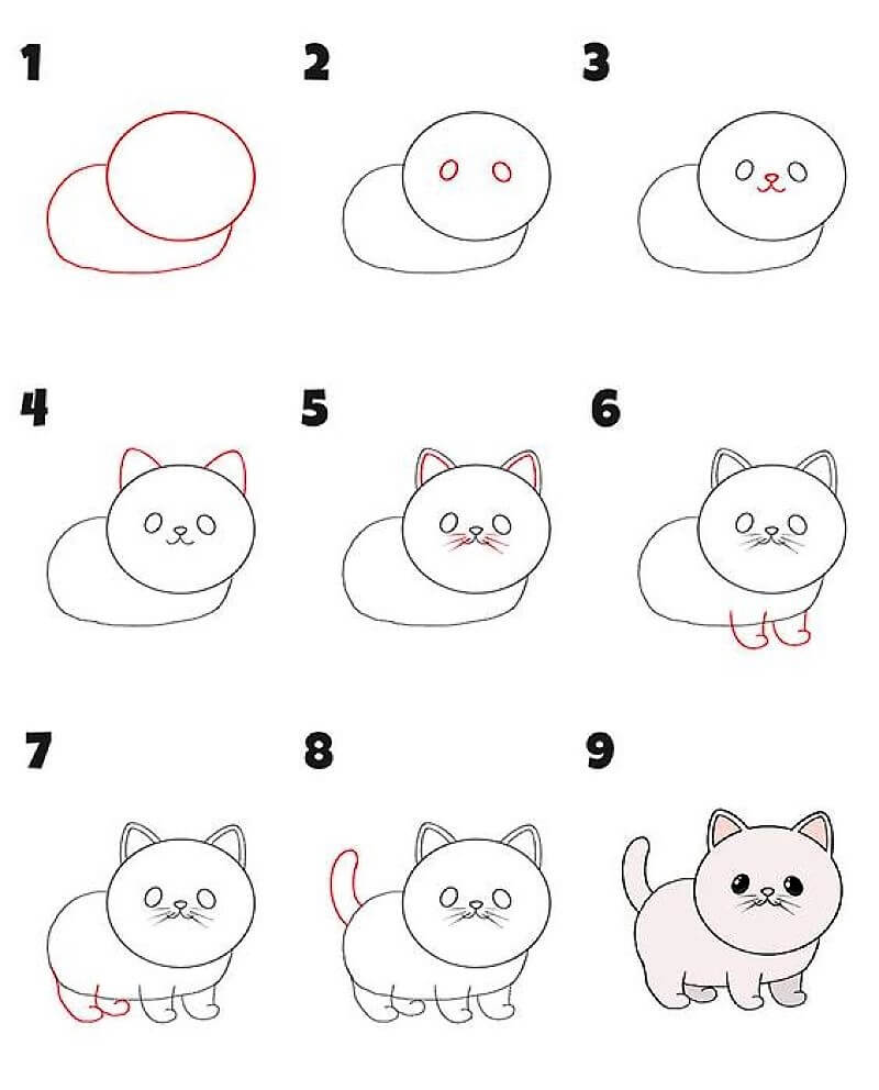 Zeichnen Lernen Katze – Idee 14