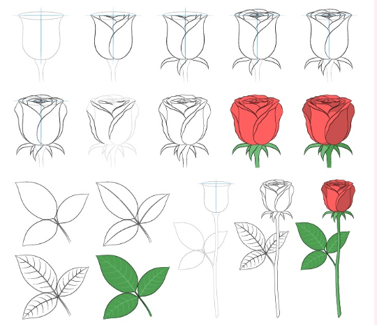 Zeichnen Lernen Rosenideen (1)