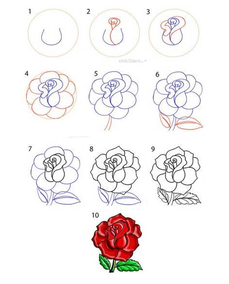 Zeichnen Lernen Rosenideen (17)