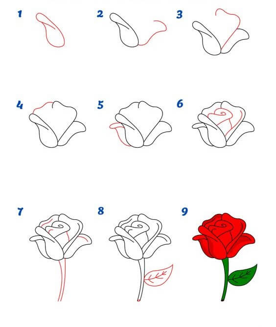 Zeichnen Lernen Rosenideen (18)