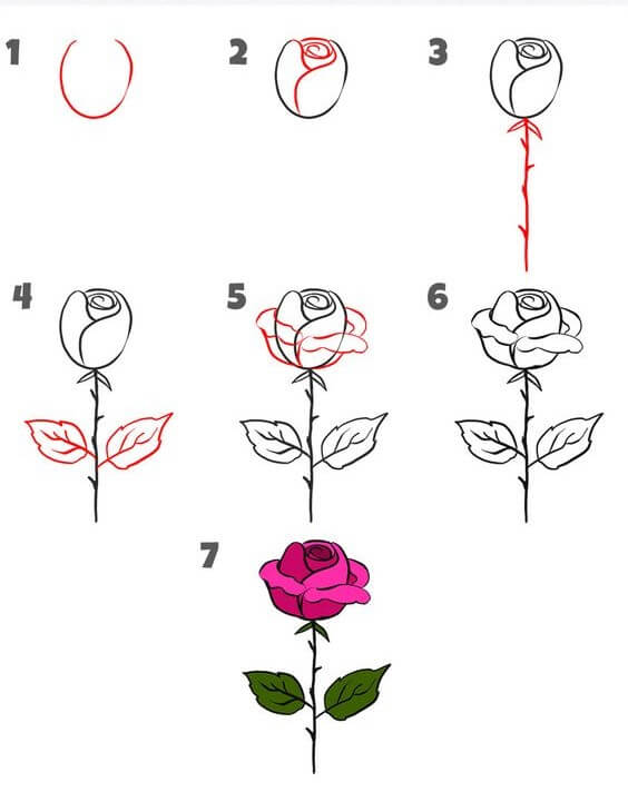 Zeichnen Lernen Rosenideen (23)