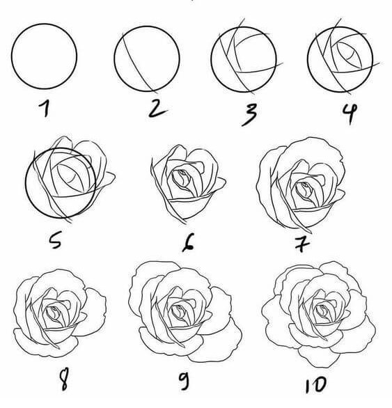 Zeichnen Lernen Rosenideen (37)