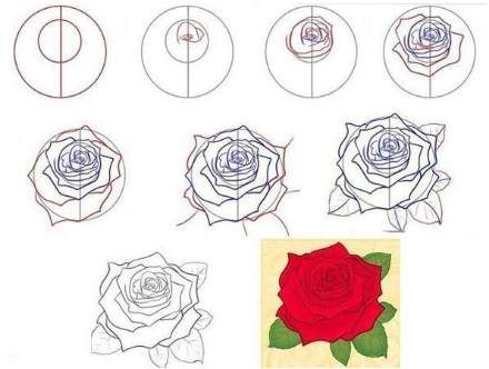 Zeichnen Lernen Rosenideen (9)