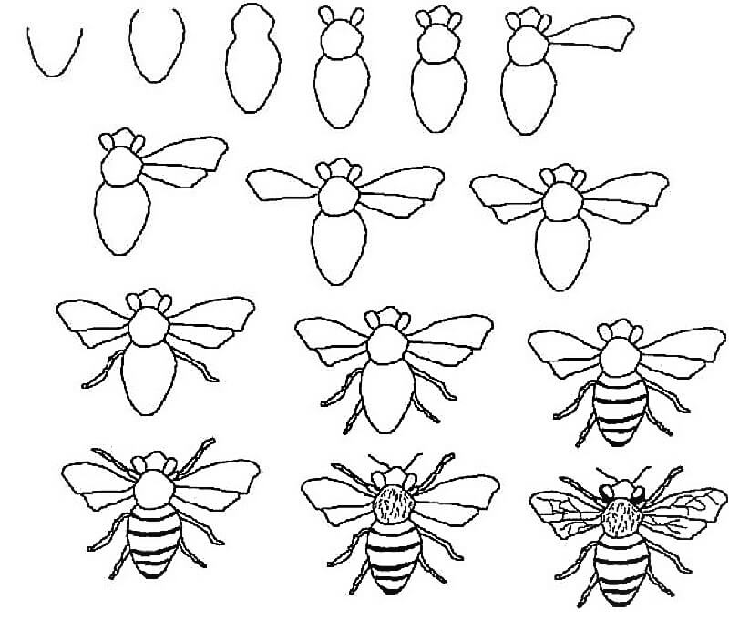Bienenidee 12 zeichnen ideen