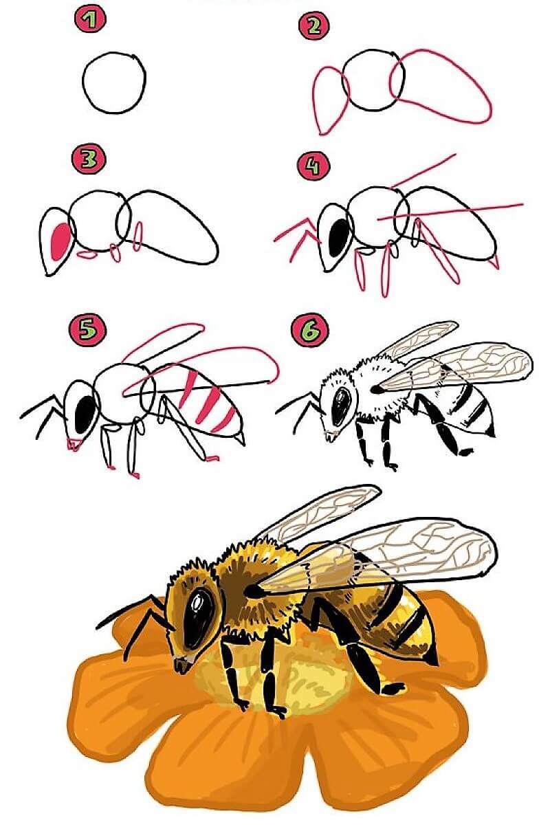 Bienenidee 15 zeichnen ideen