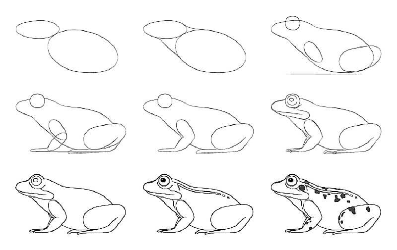 Ein alter Frosch zeichnen ideen