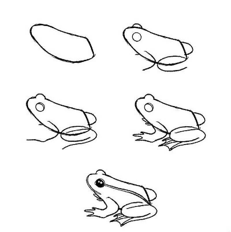 Ein Asien-Frosch zeichnen ideen