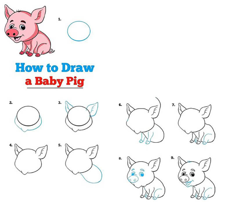 Ein Babyschwein zeichnen ideen