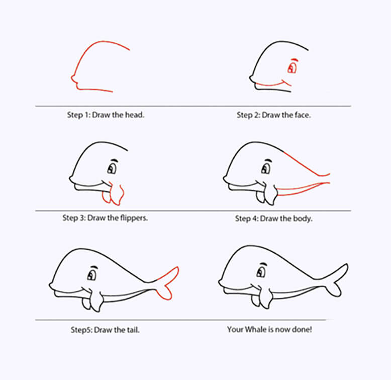 Ein einfacher Wal zeichnen ideen