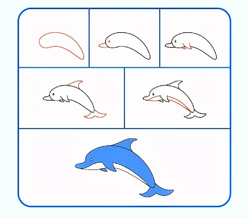 Ein realistischer Delphin zeichnen ideen