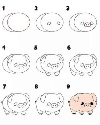 Zeichnen Lernen Ein schönes Schwein