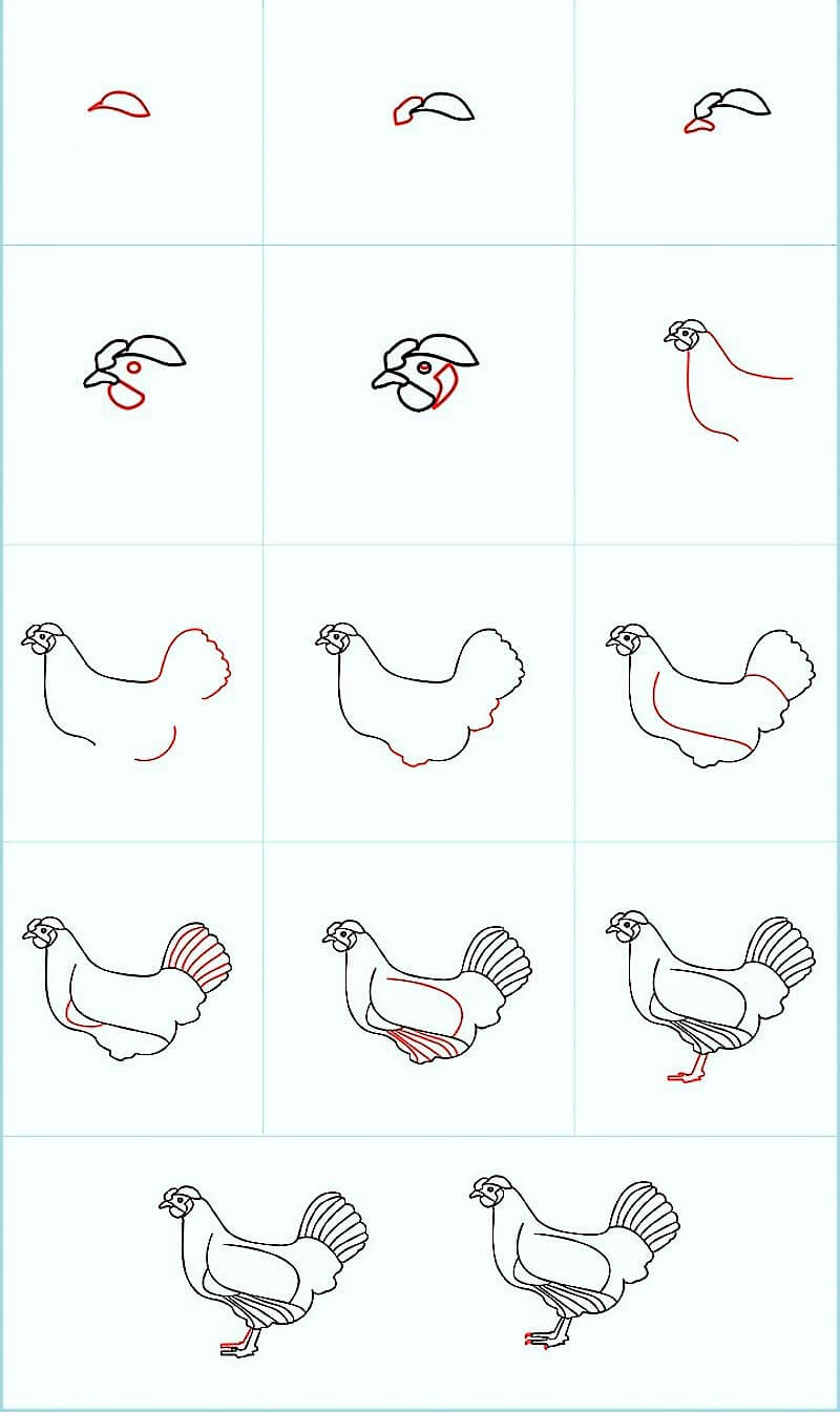 Ein wunderschönes Huhn zeichnen ideen