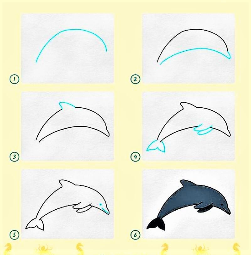 Eine Delphin-Idee 10 zeichnen ideen