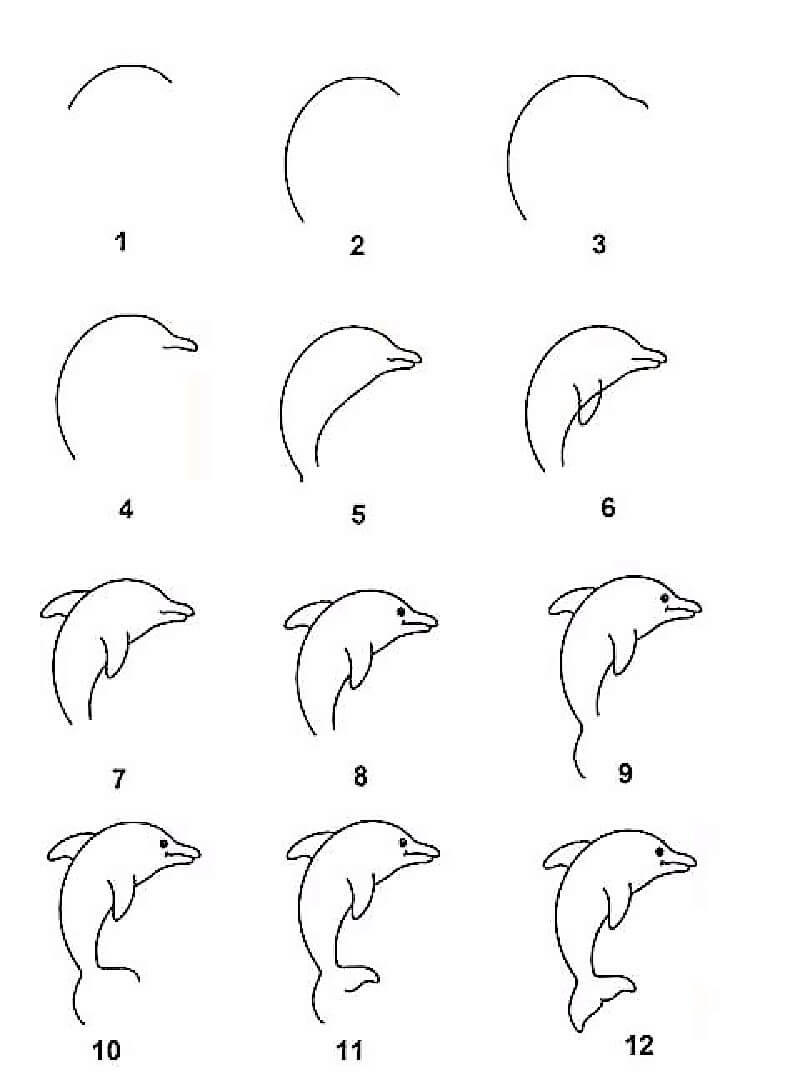 Eine Delphin-Idee 18 zeichnen ideen