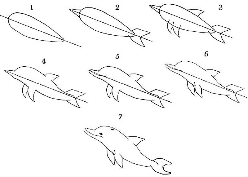 Eine Delphin-Idee 5 zeichnen ideen