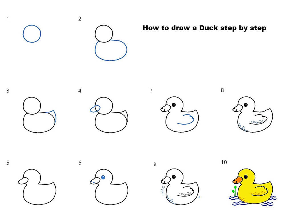 Zeichnen Lernen Eine Ente schwimmt