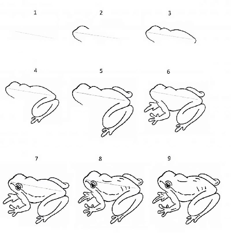 Eine Froschskizze zeichnen ideen