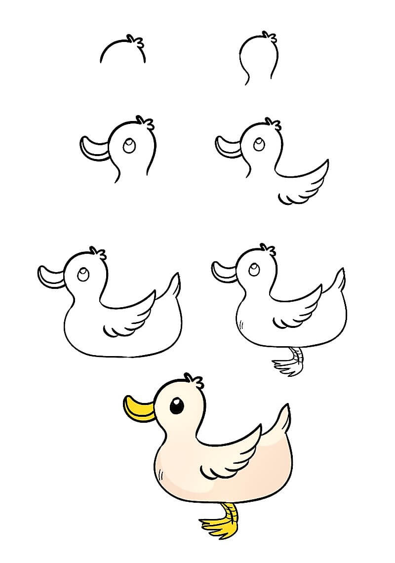 Zeichnen Lernen Eine schöne Ente