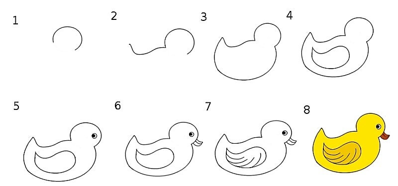 Zeichnen Lernen Eine süße Ente