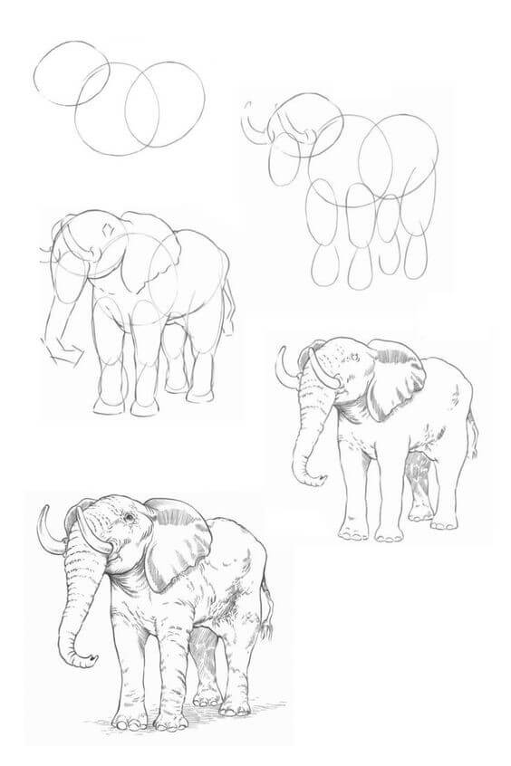 Elefantenidee (15) zeichnen ideen