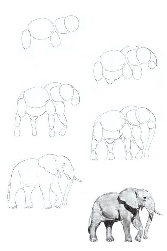 Elefantenidee (19) zeichnen ideen
