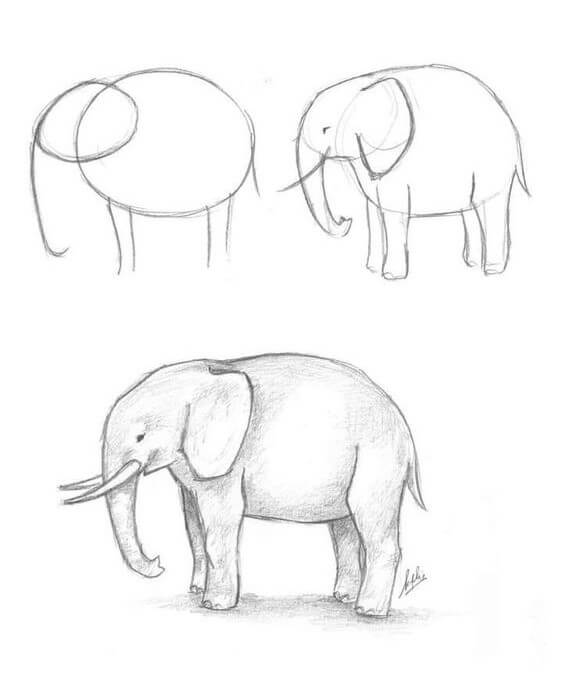 Elefantenidee (40) zeichnen ideen