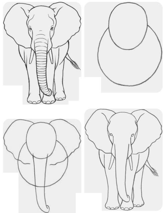 Elefantenidee (6) zeichnen ideen