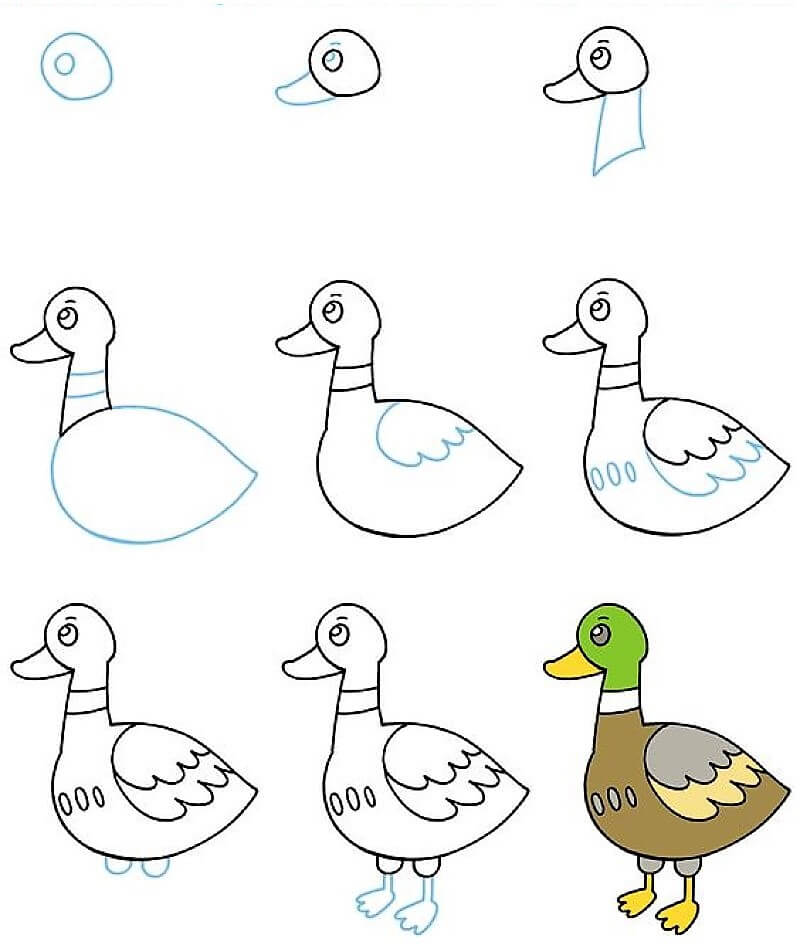 Zeichnen Lernen Ente – Idee 1