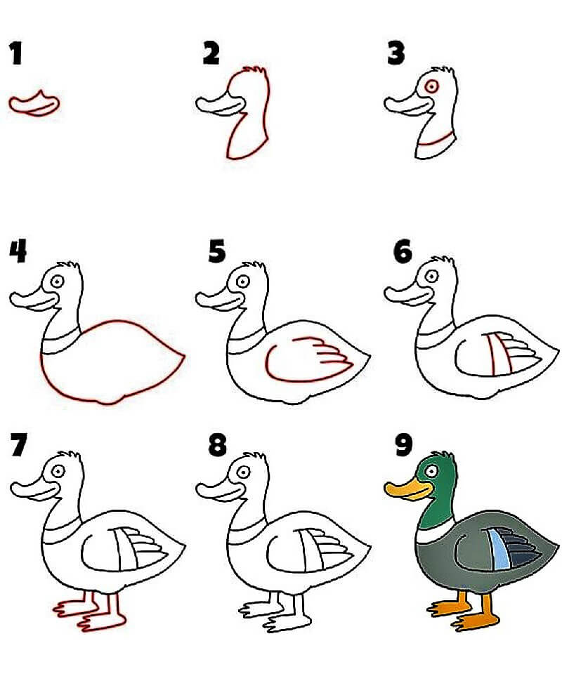 Zeichnen Lernen Ente – Idee 10