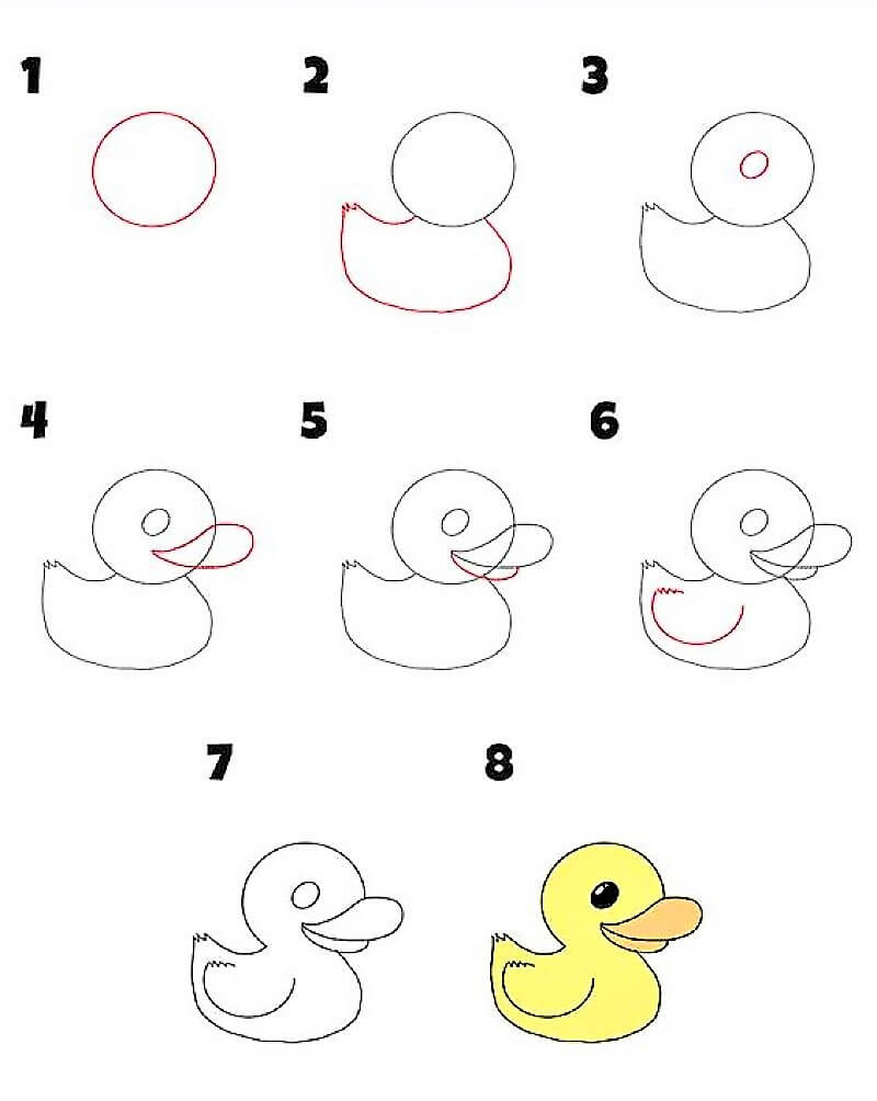 Zeichnen Lernen Ente – Idee 12