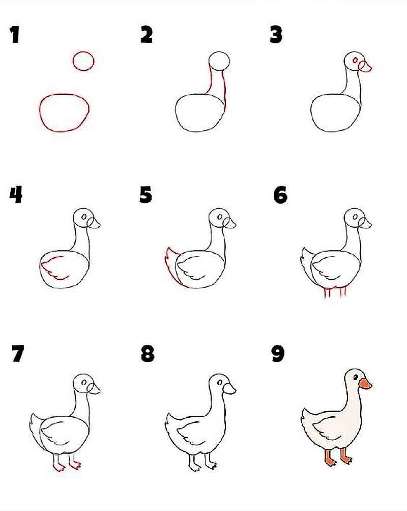 Zeichnen Lernen Ente – Idee 13