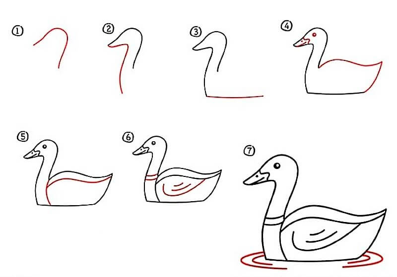 Zeichnen Lernen Ente – Idee 14