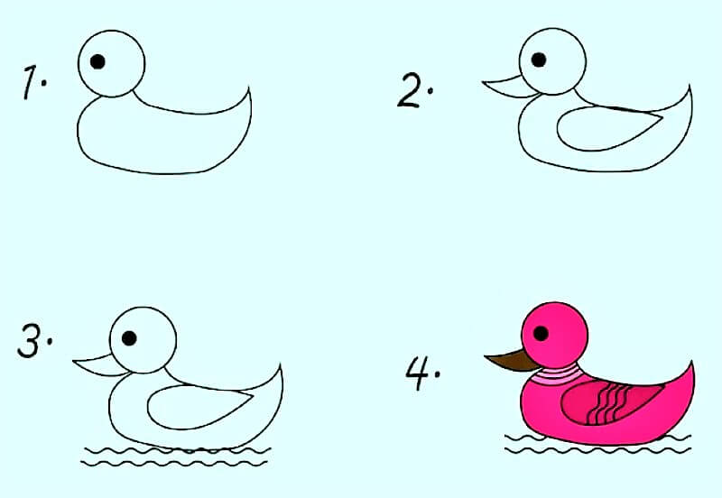 Zeichnen Lernen Ente – Idee 16