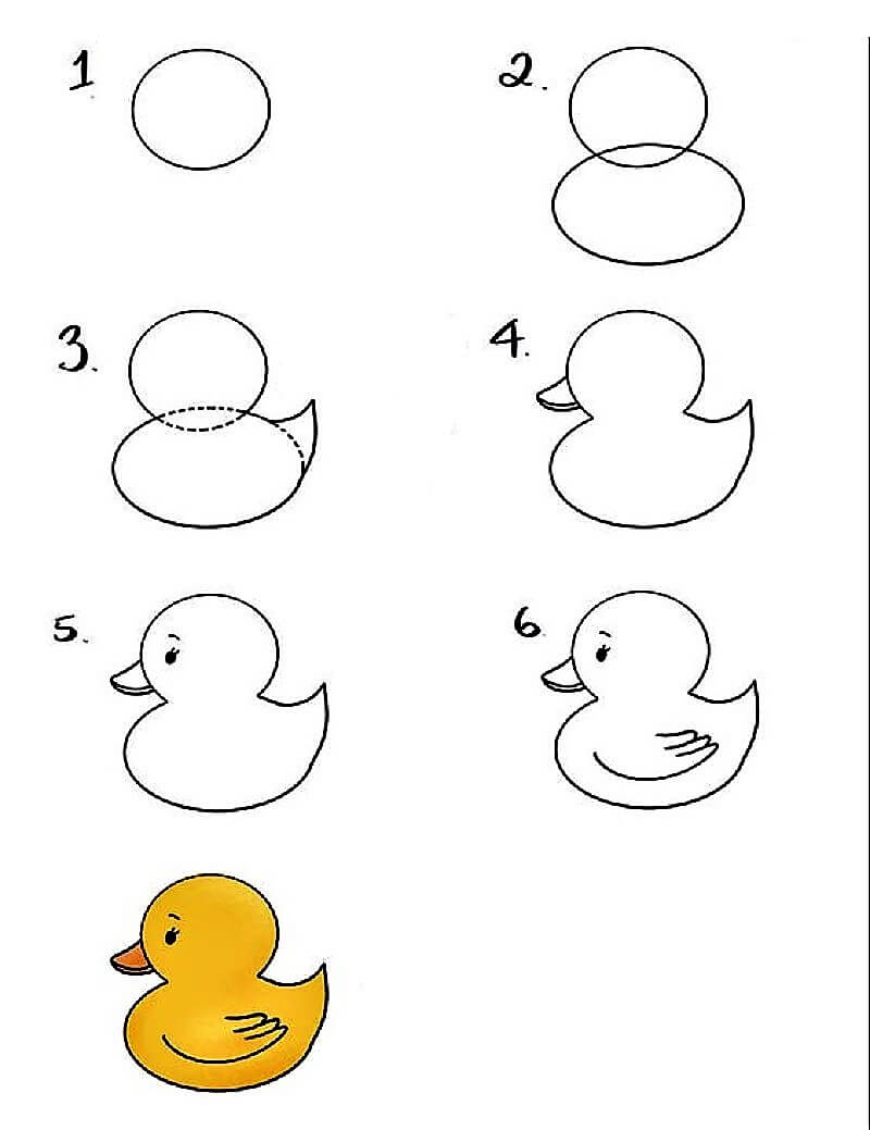 Zeichnen Lernen Ente – Idee 6