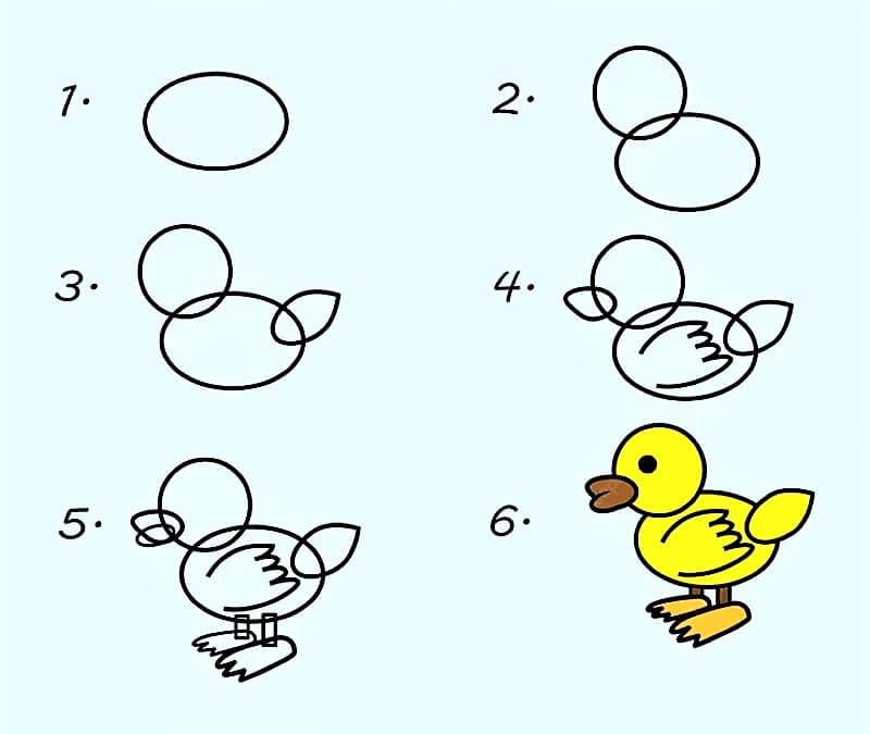 Zeichnen Lernen Ente – Idee 8