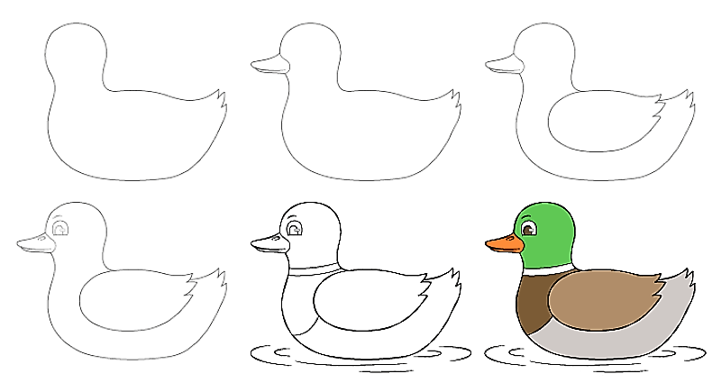 Zeichnen Lernen Ente – Idee 9
