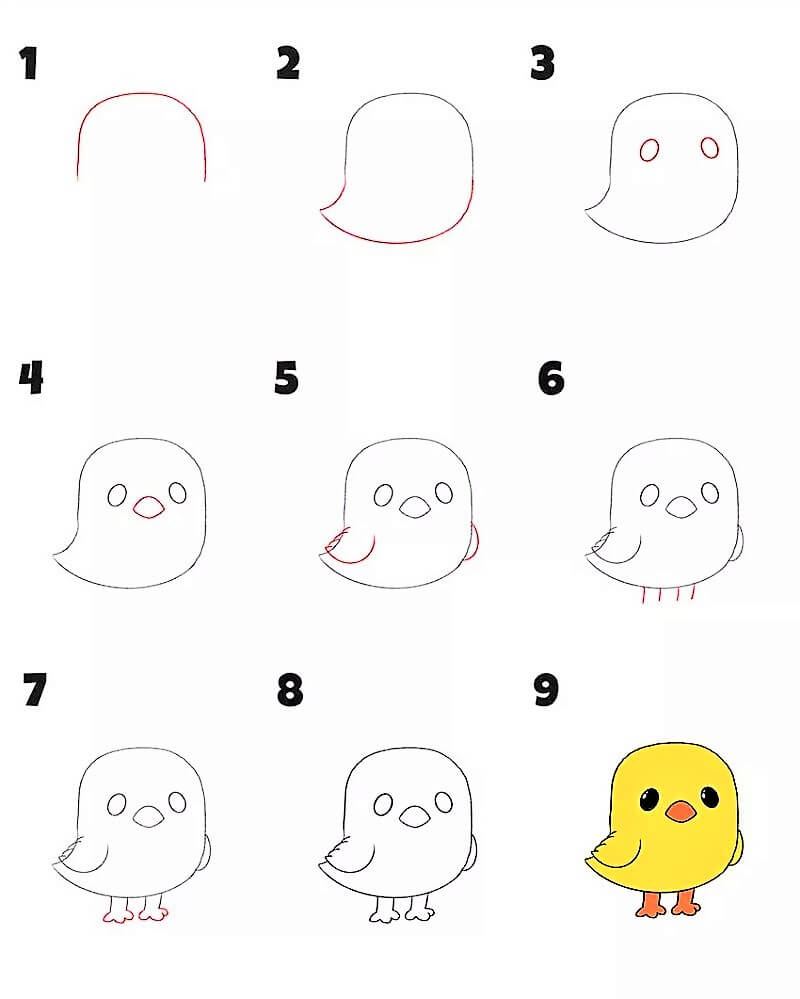 Zeichnen Lernen Huhn – Idee 8