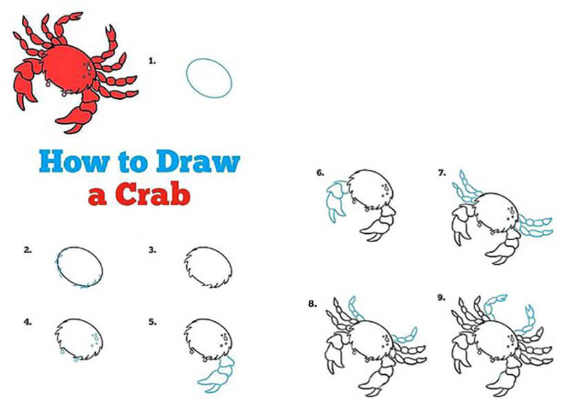 Zeichnen Lernen Krabbe – Idee 15