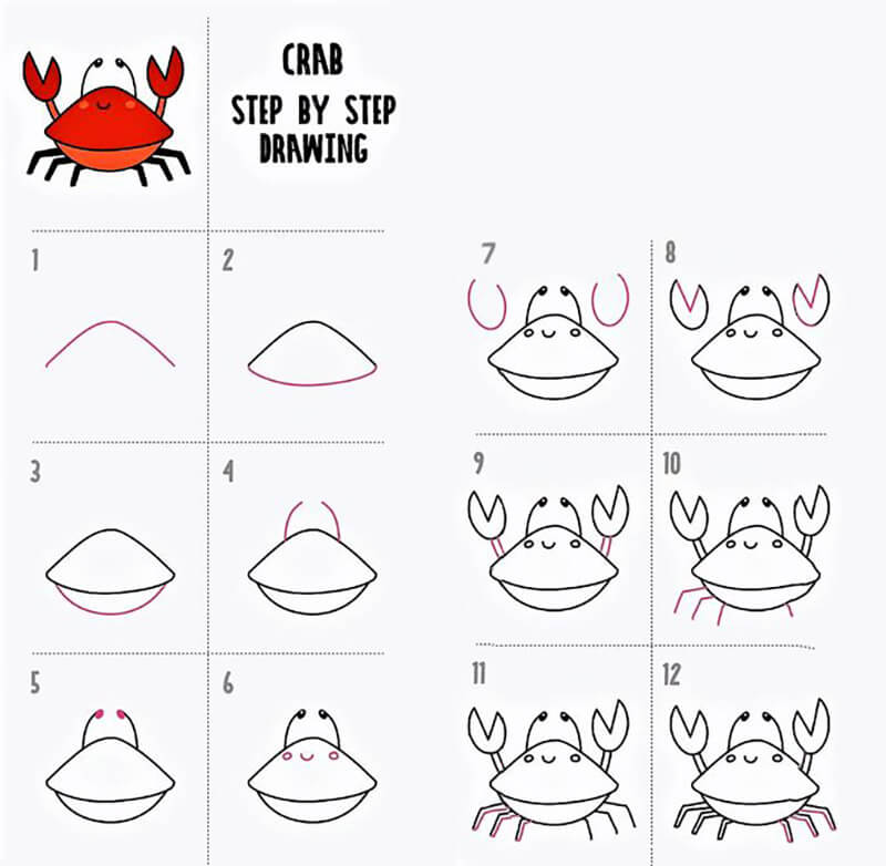 Zeichnen Lernen Krabbe – Idee 6