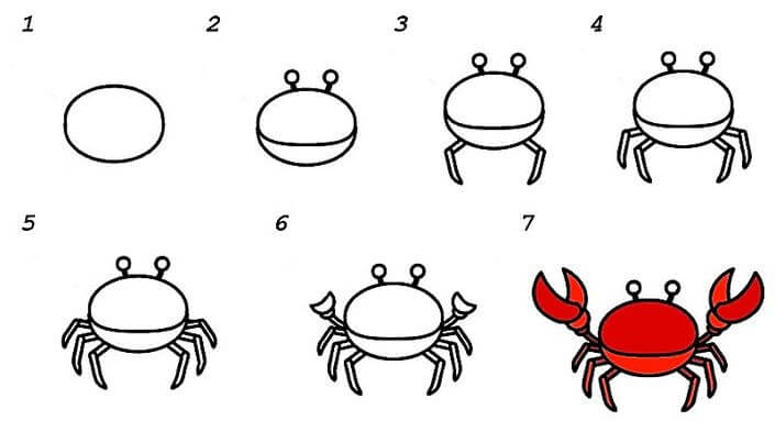 Zeichnen Lernen Krabbe – Idee 8