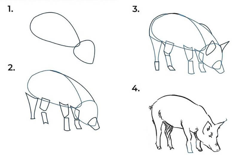 Schwein-Idee 13 zeichnen ideen