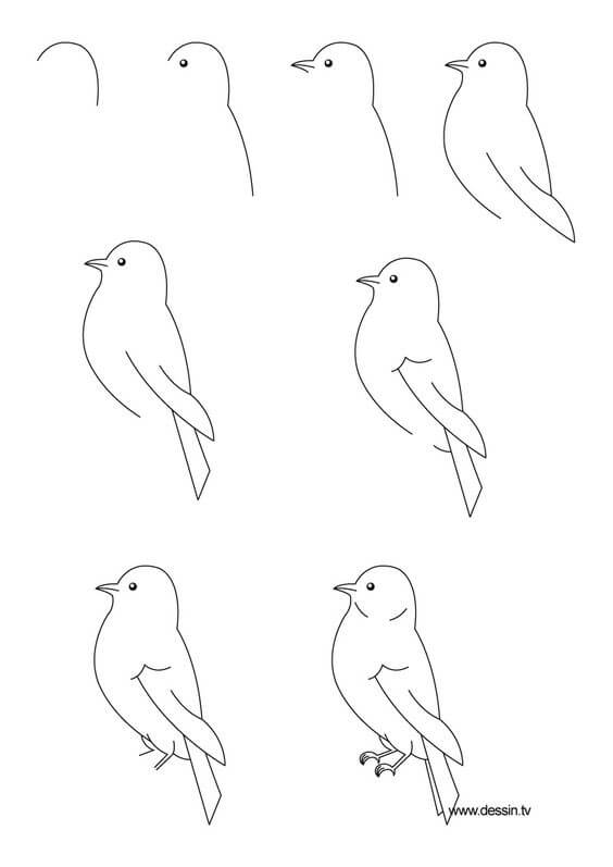 Zeichnen Lernen Vogelidee (10)