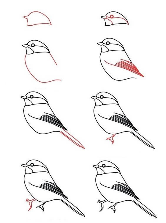 Zeichnen Lernen Vogelidee (11)