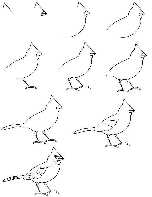 Vogelidee (13) zeichnen ideen