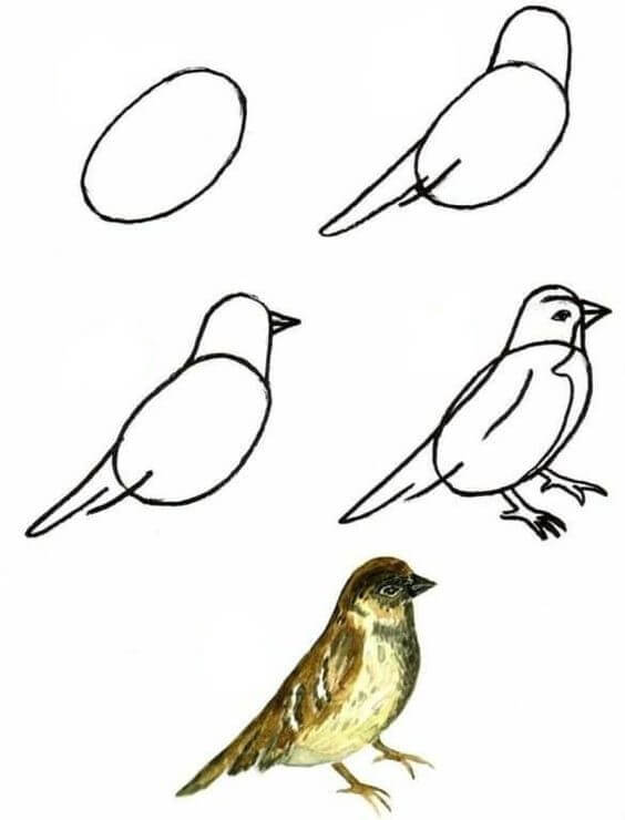Zeichnen Lernen Vogelidee (14)